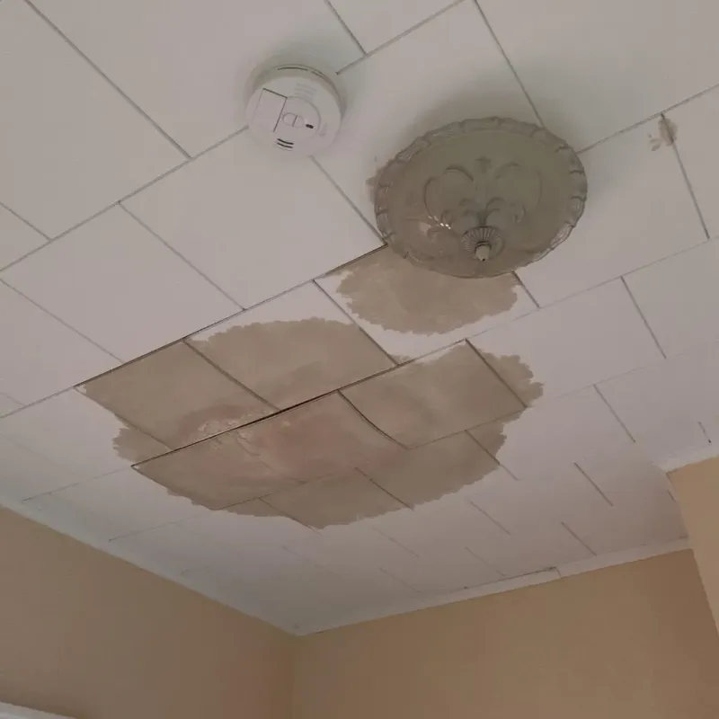 Ceiling Water Damage Repair in Le Sueur County, MN