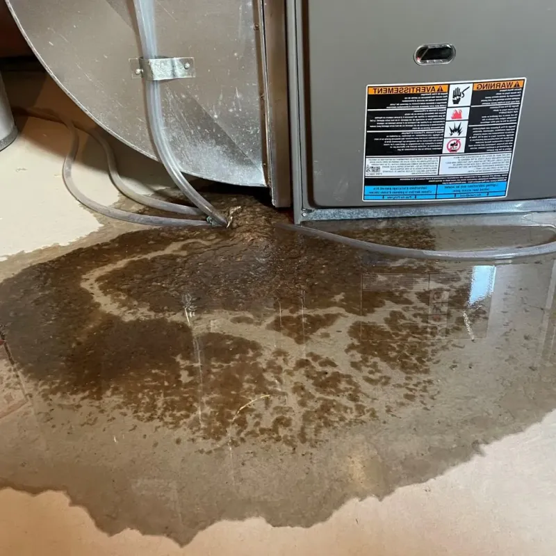 Pipe Burst and Leak Restoration in Le Sueur County, MN