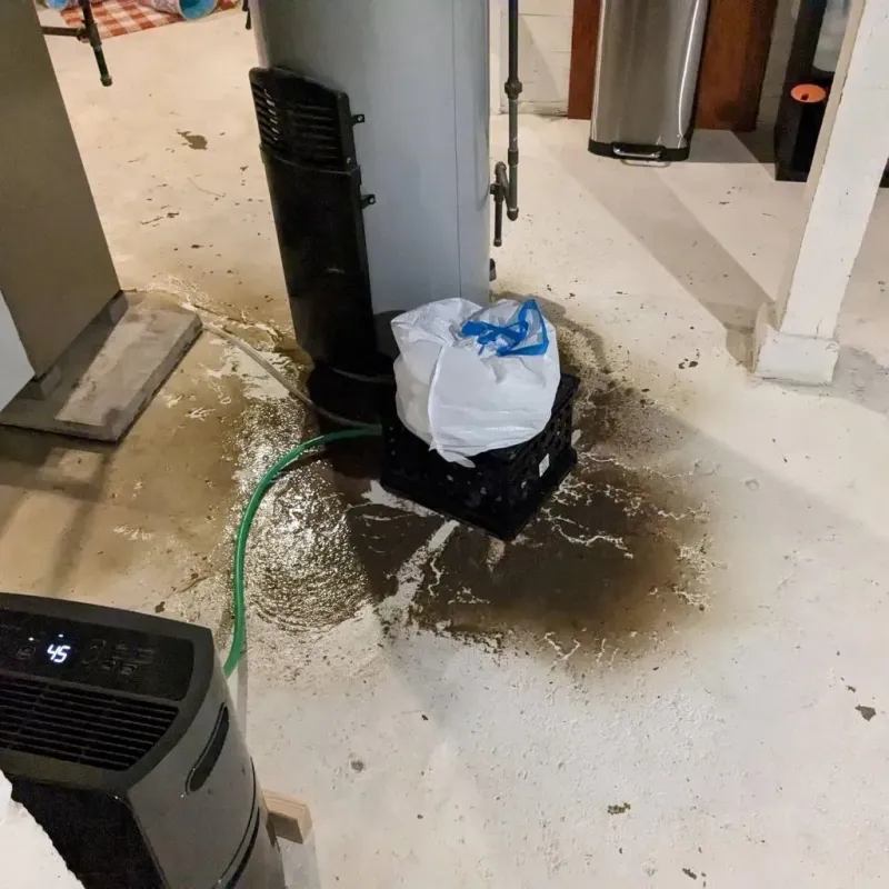 Sewage Backup Cleanup Service in Le Sueur County, MN